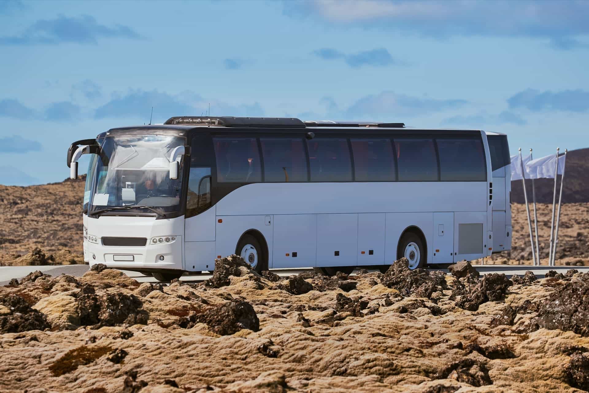 Small group vs bus tours compared
