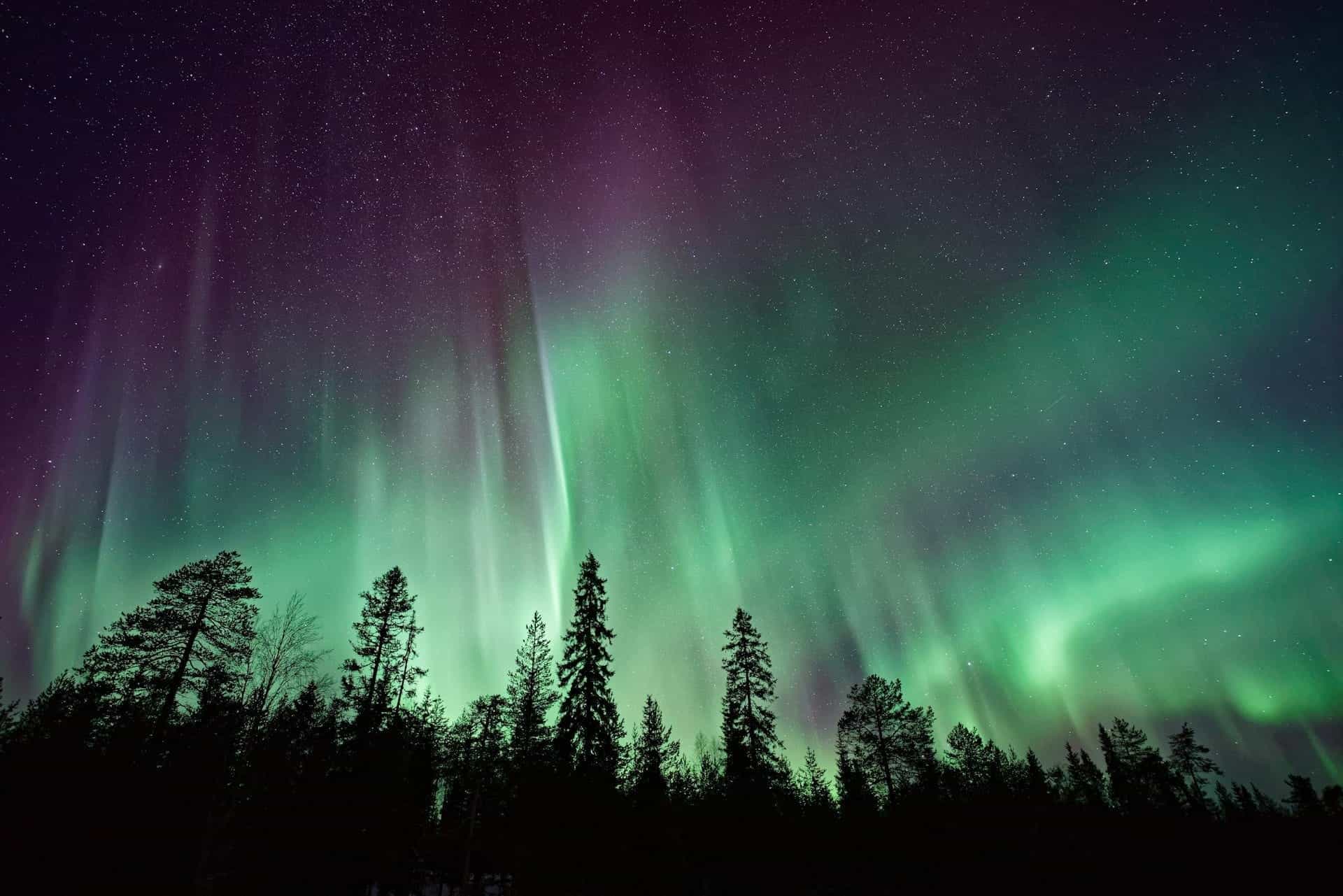 Northern Lights Tours in Iceland