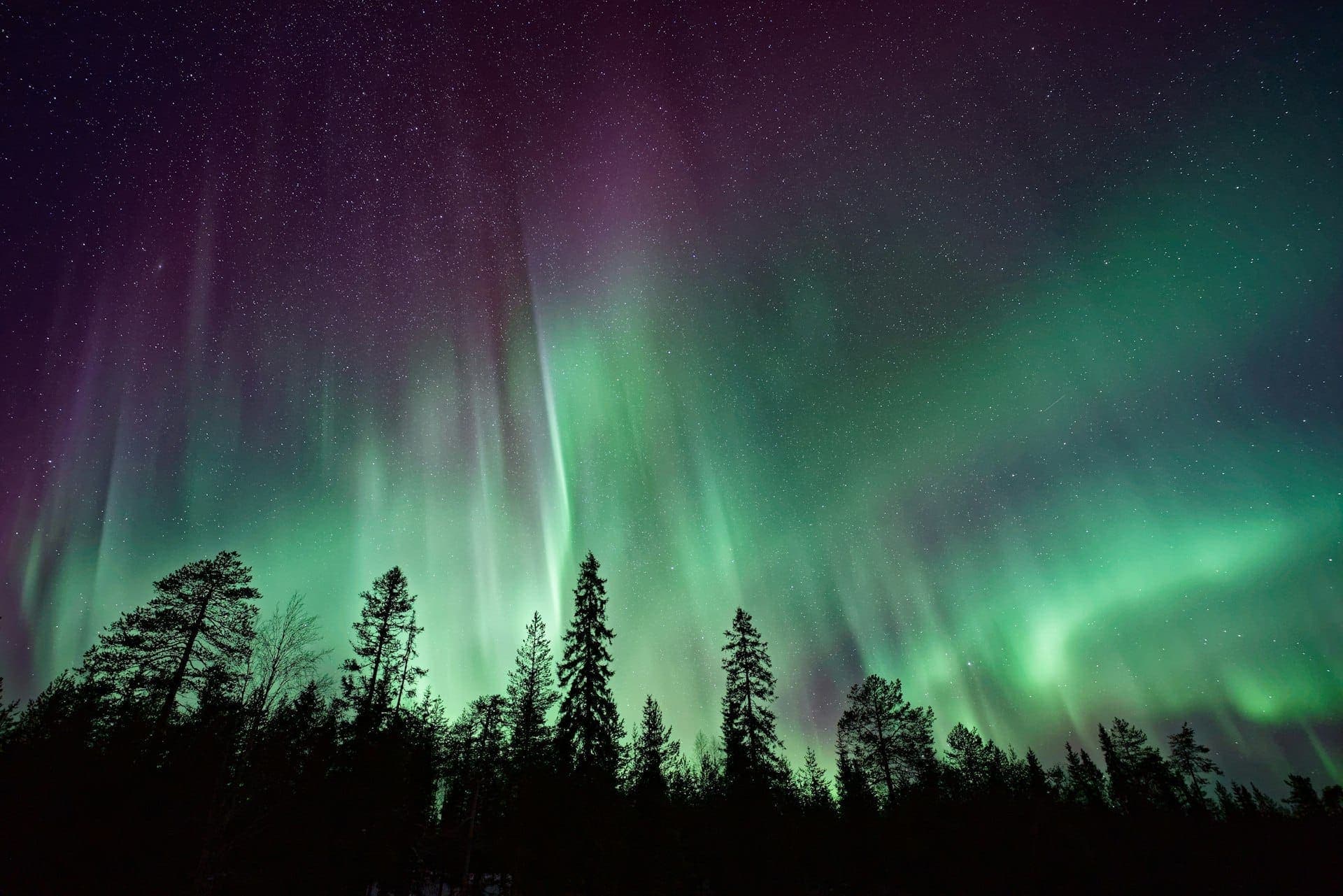 Northern Lights Tours from Reykjavik